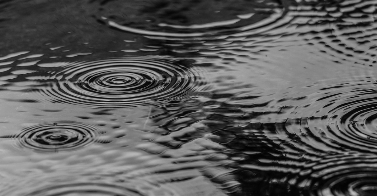 RAIN PUDDLE
